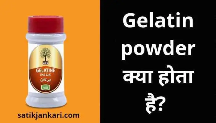 जिलेटिन क्या होता है? | Gelatin powder meaning in hindi